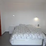 Casa Mas Ros 6